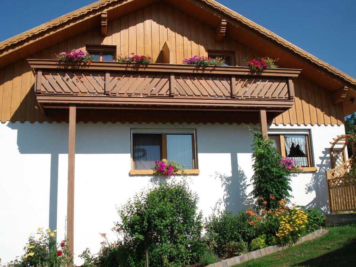 Ferienwohnungen Schellein Blaibach Екстериор снимка